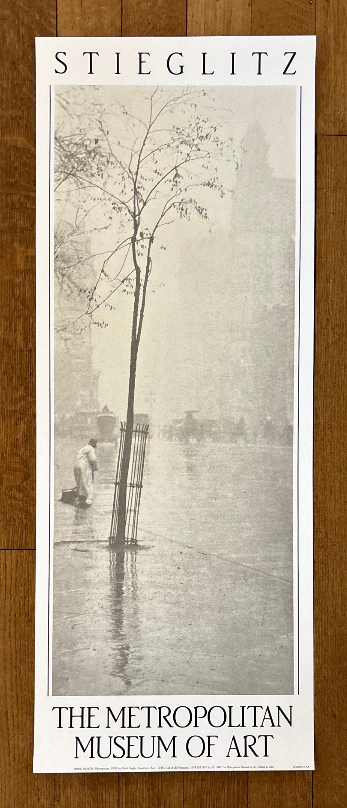 Alfred Stieglitz photo art exhibition poster - 14.6"×38.2" (37×97cm)