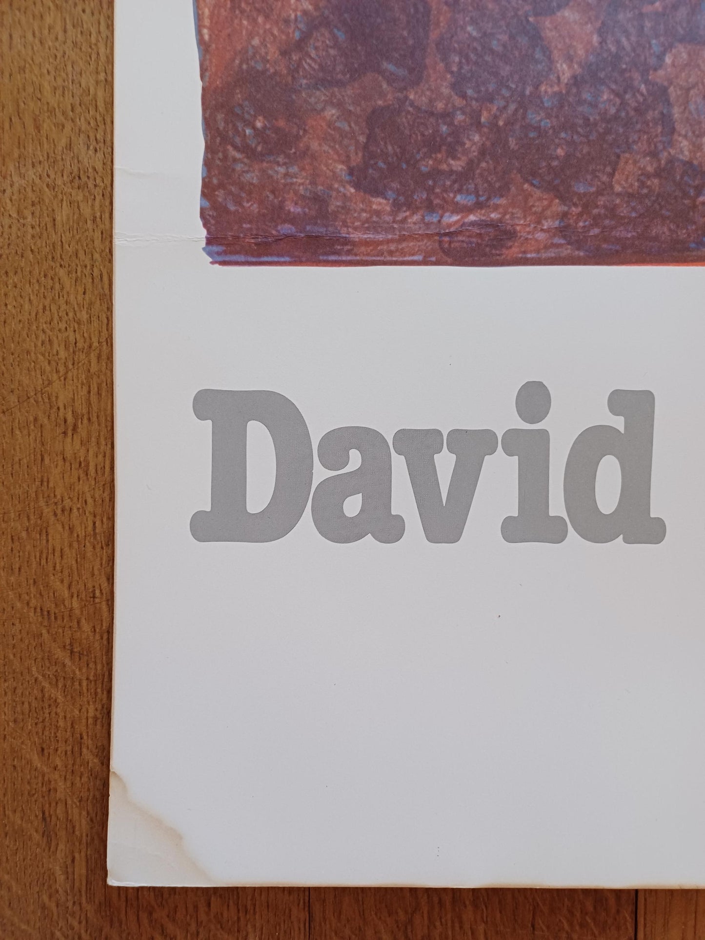 David Hockney original poster used - 27.2"×38.2" (69×97cm)