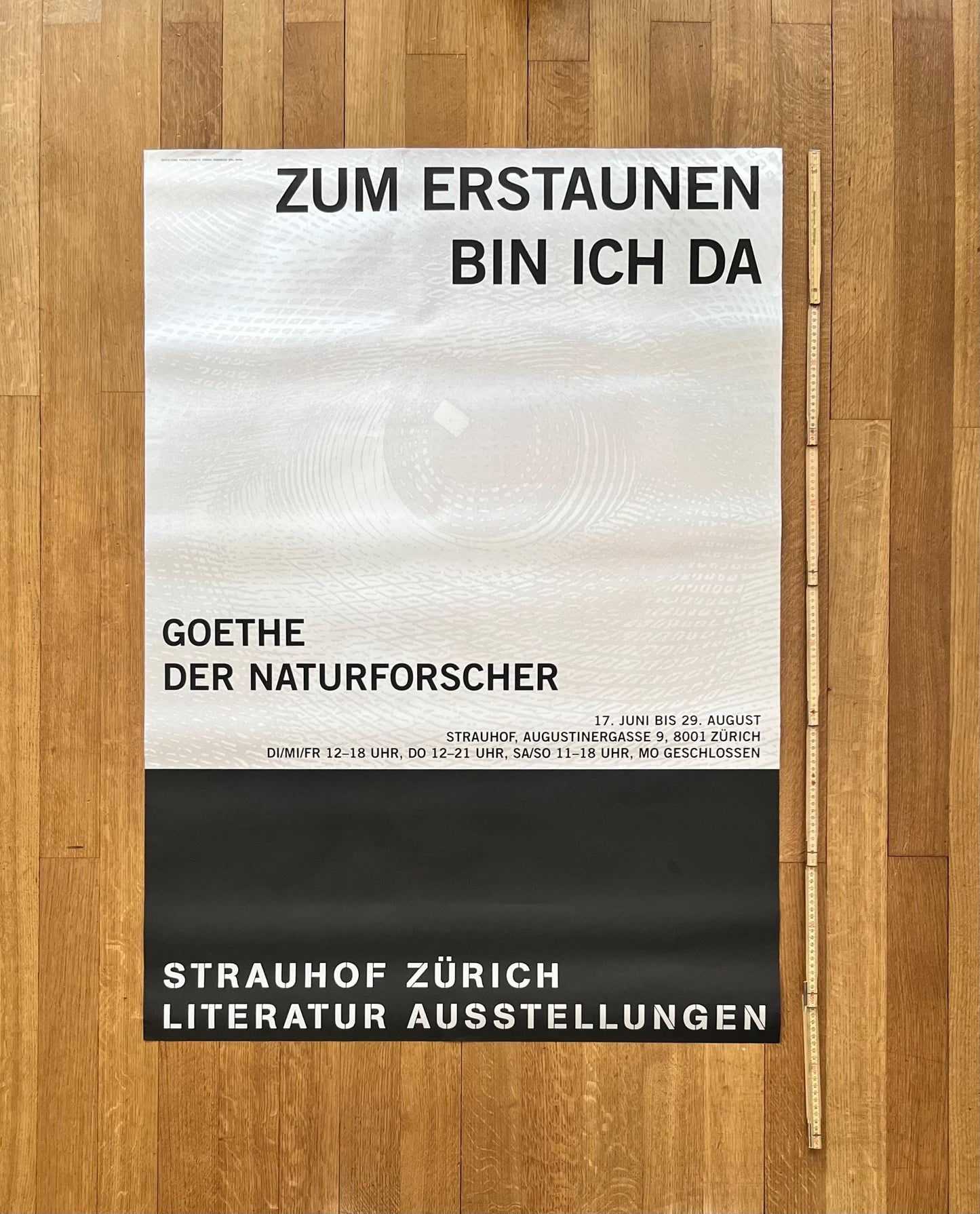 Strauhof Zürich original art poster - 35.4"×50.4" (90×128cm)