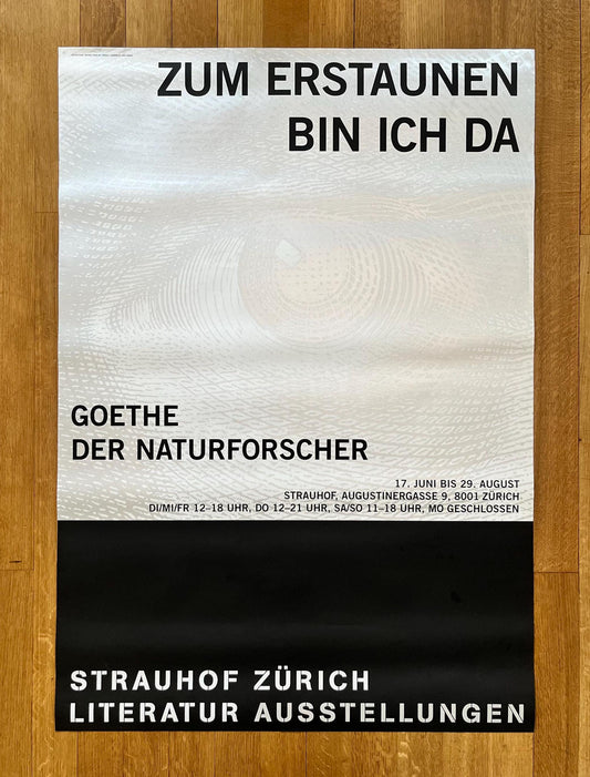 Strauhof Zürich original art poster - 35.4"×50.4" (90×128cm)