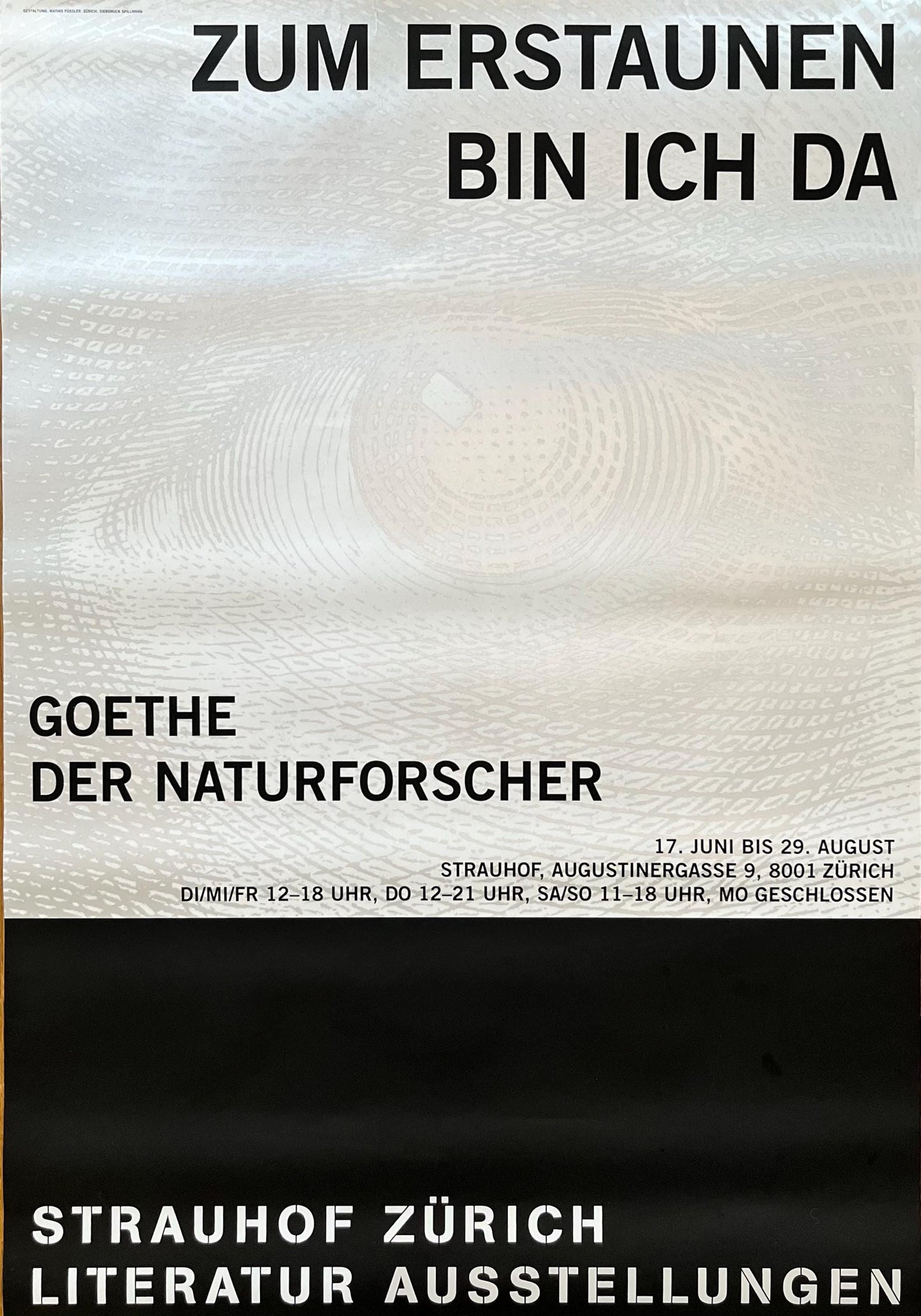 Strauhof Zürich original art poster - 35.4"×50.4" (90×128cm)