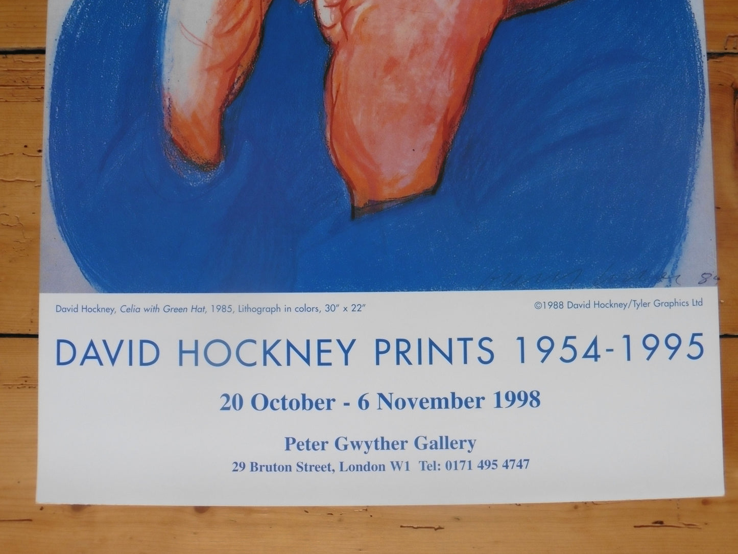 David Hockney original art poster - 16.9"×28.0" (43×71cm)