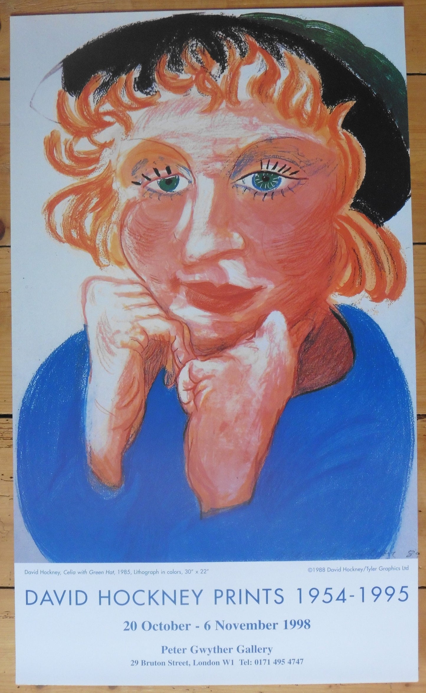 David Hockney original art poster - 16.9"×28.0" (43×71cm)