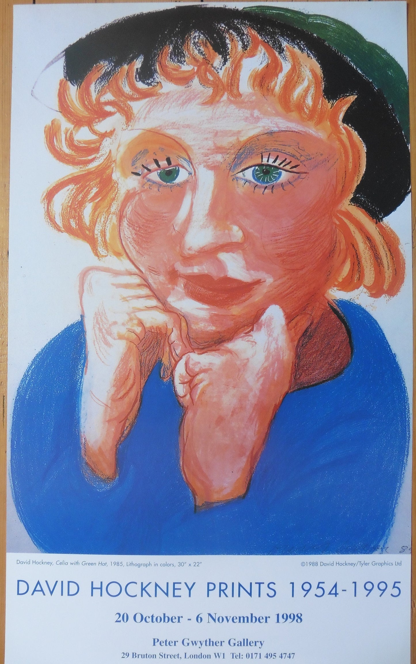 David Hockney original art poster - 16.9"×28.0" (43×71cm)
