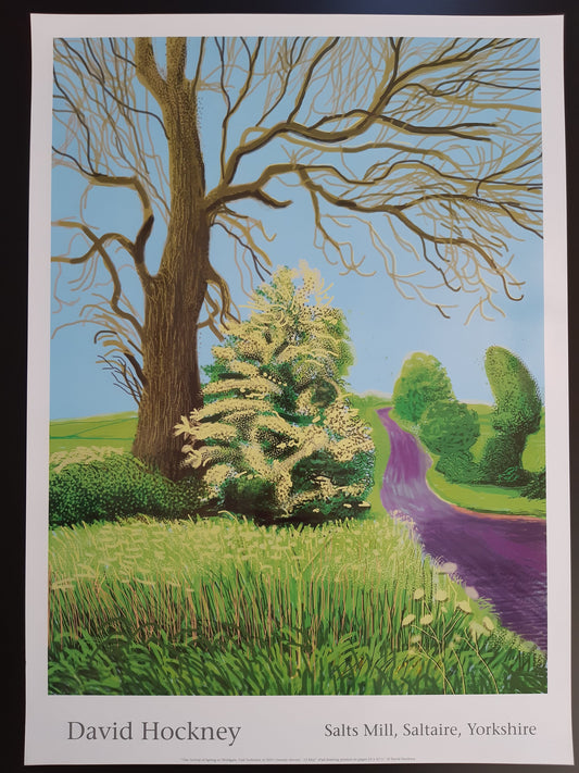 David Hockney original art poster - 18.7"×25.8" (47.5×65.5cm)