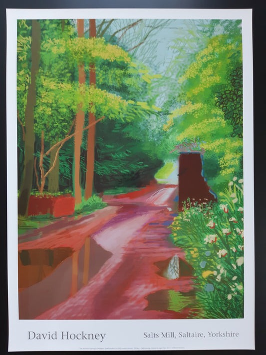 David Hockney original art poster - 18.7"×25.8" (47.5×65.5cm)