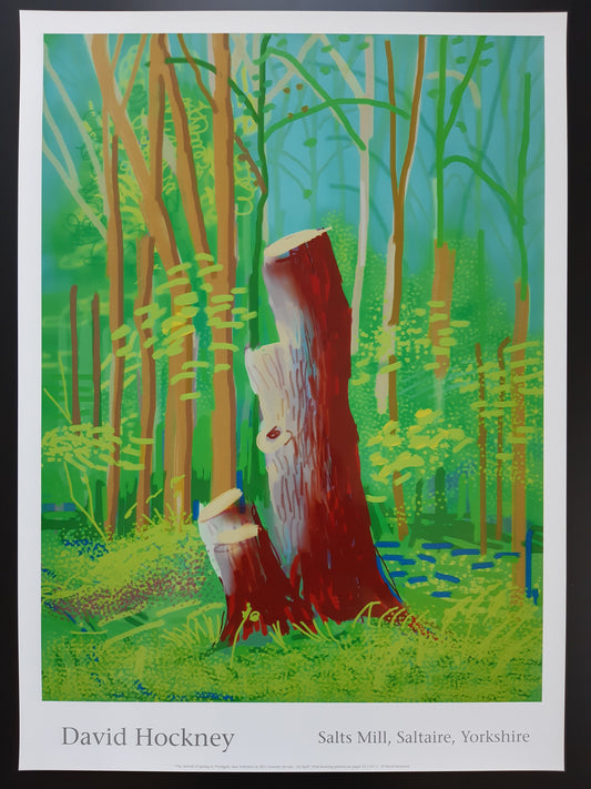 David Hockney original art poster - 18.7"×25.8" (47.5×65.5cm)