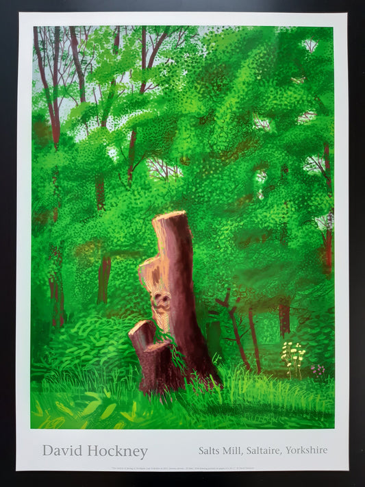 David Hockney original art poster - 18.7"×25.8" (47.5×65.5cm)