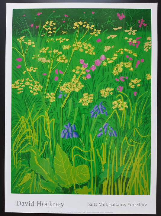 David Hockney original art poster - 18.7"×25.8" (47.5×65.5cm)