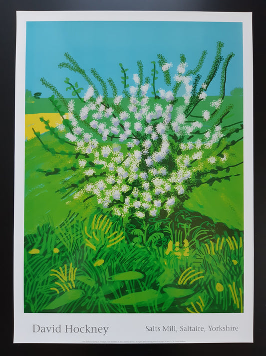 David Hockney original art poster - 18.7"×25.8" (47.5×65.5cm)
