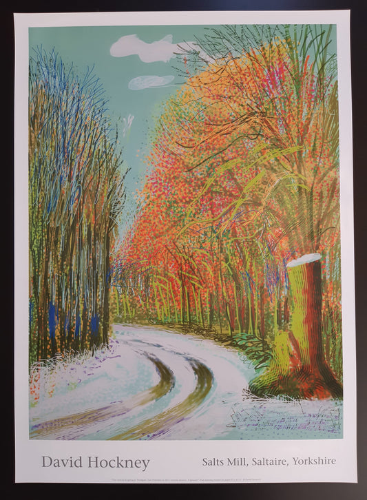 David Hockney original art poster - 18.7"×25.8" (47.5×65.5cm)