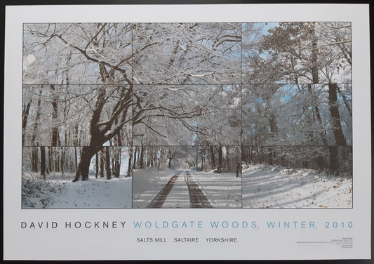 David Hockney original art poster - 19.2"×27.6" (48.8×70.2cm)