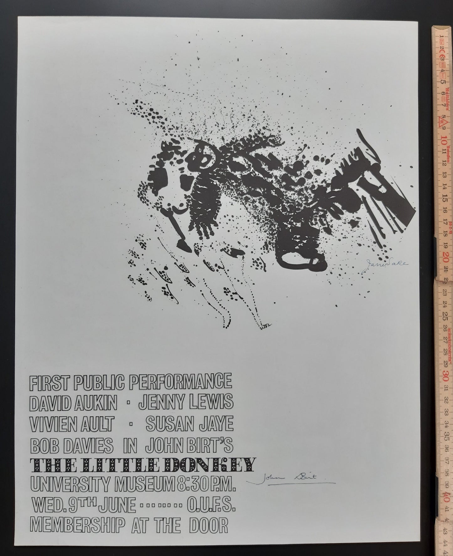 John Birt Jane Lake signed film poster - 13.4"×17.3" (34×44cm)