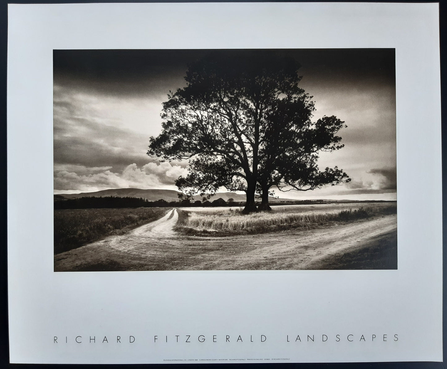 Richard Fitzgerald photo poster - 23.6"×19.7" (60×50cm)