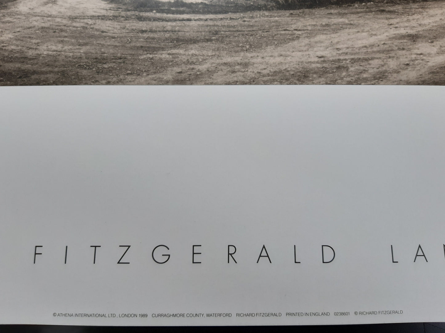 Richard Fitzgerald photo poster - 23.6"×19.7" (60×50cm)