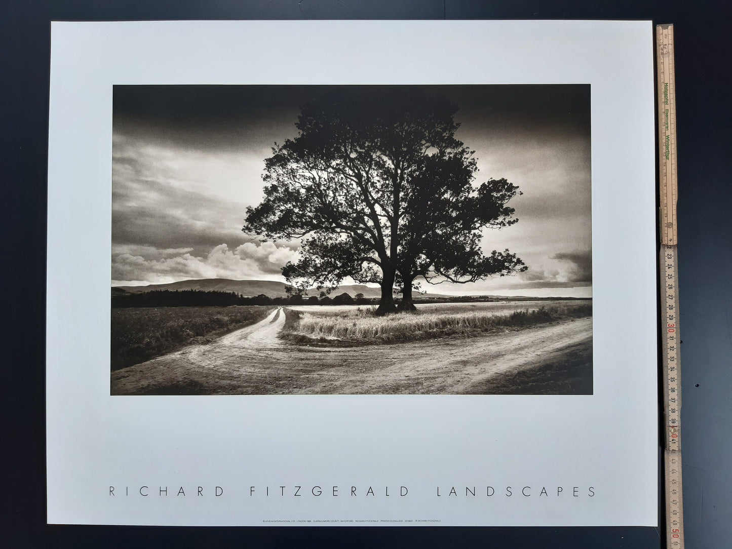 Richard Fitzgerald photo poster - 23.6"×19.7" (60×50cm)