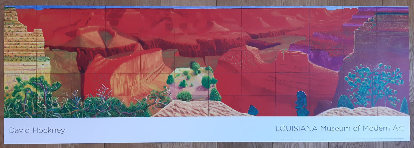 David Hockney original art poster - 18.1"×53.9" (45.9×136.9cm)