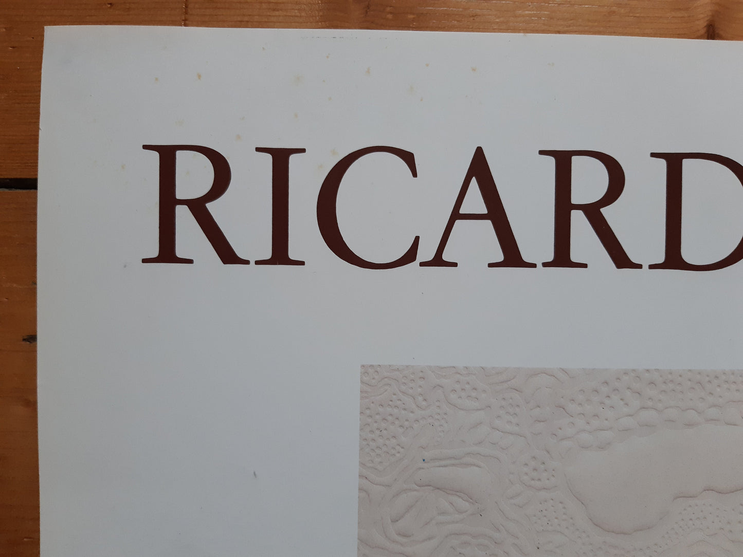 Ricardo Benaim original art exhibition poster used - 20.5"×28.3" (52×72cm)