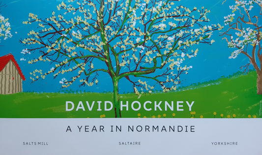 David Hockney original art poster - 39.2"×23.0" (99.5×58.5cm)