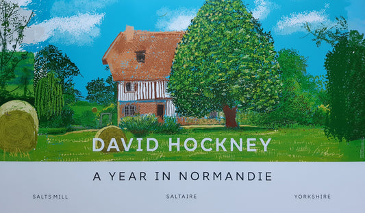 David Hockney original art poster - 39.2"×23.0" (99.5×58.5cm)