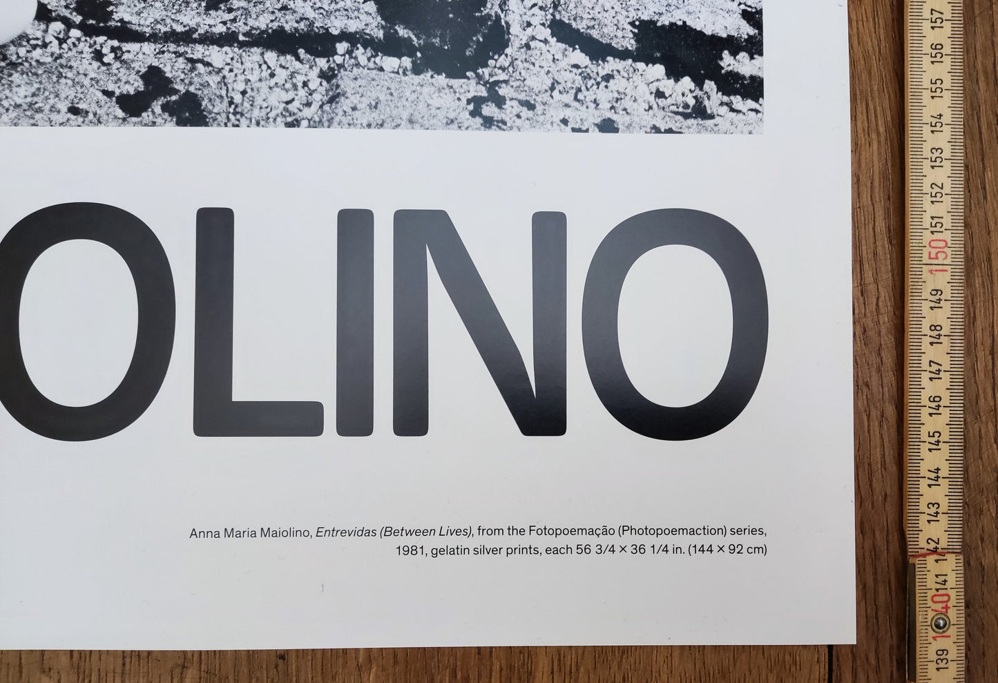 Anna Maria Maiolino original art poster - 24.0"×35.9" (61×91.3cm)