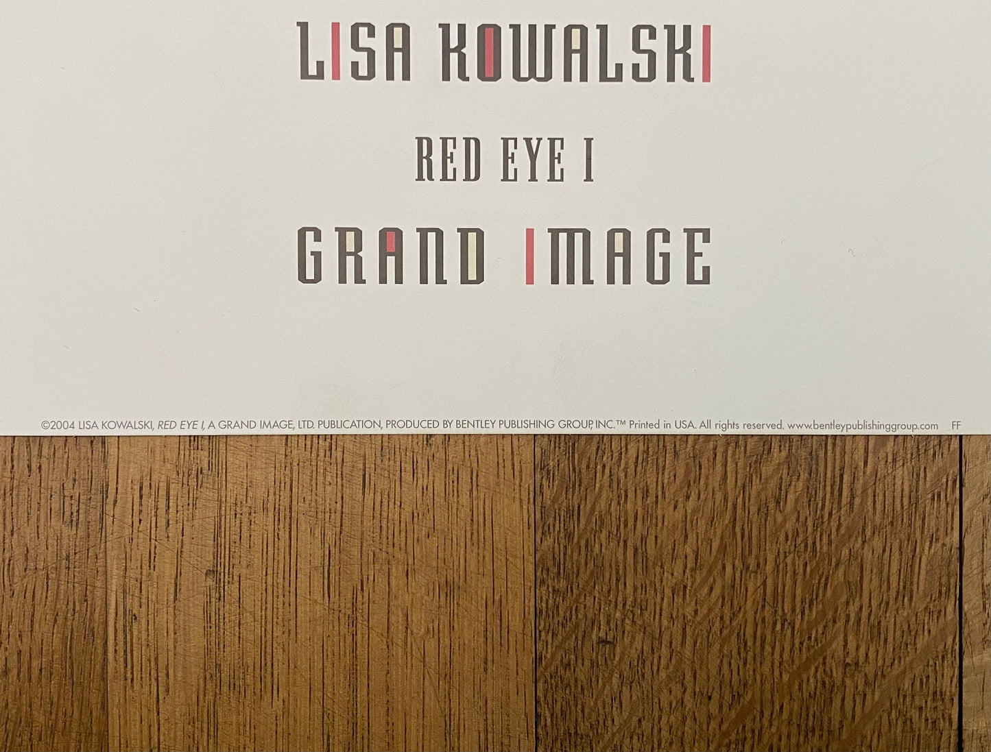 Lisa Kowalski original art poster - 26.0"×28.0" (66×71cm)
