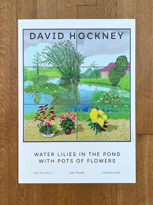 David Hockney original art poster - 19.7"×27.6" (50×70cm)