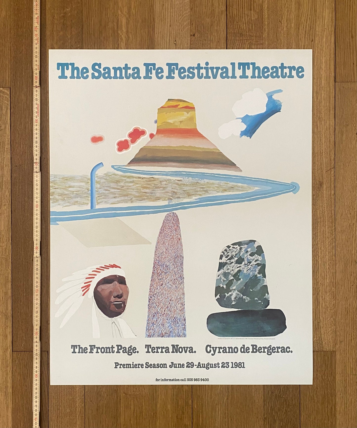 David Hockney original art poster - 24.4"×31.1" (62×79cm)