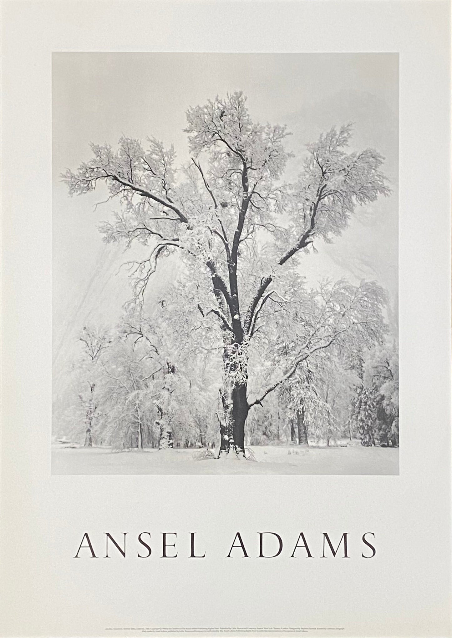 Ansel Adams original photography poster - 25.6"×35.8" (65×91cm)