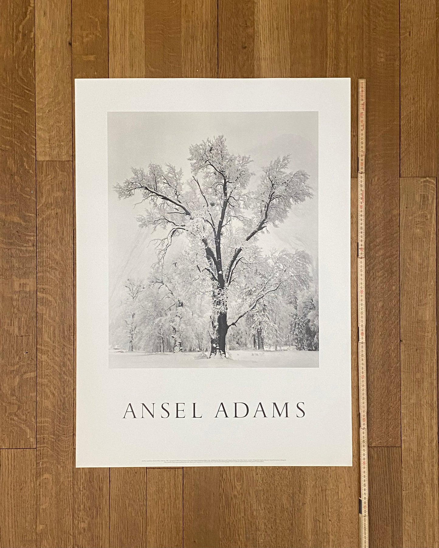 Ansel Adams original photography poster - 25.6"×35.8" (65×91cm)