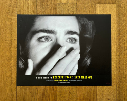 Todd Hido original photography poster - 15.9"×12.0" (40.5×30.5cm)