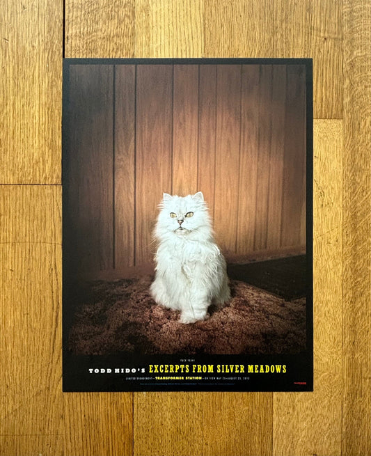 Todd Hido original photography poster - 12.0"×15.9" (30.5×40.5cm)
